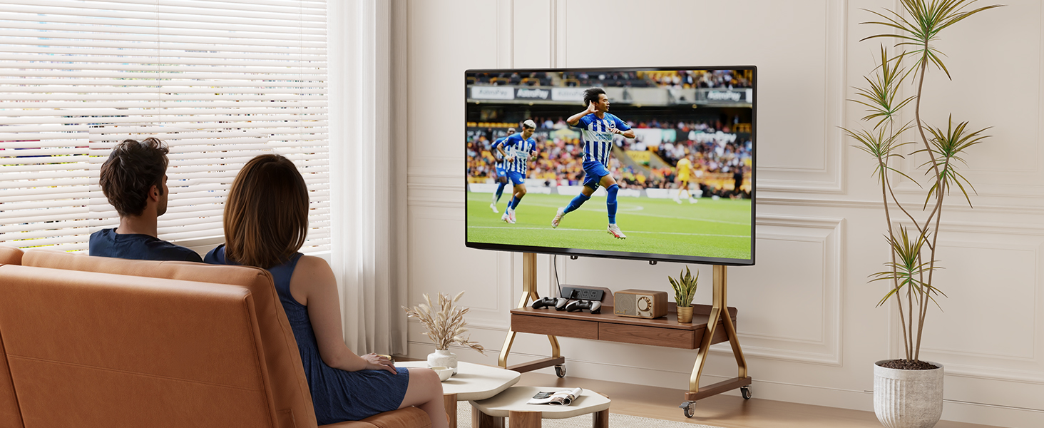 tv rolling stand