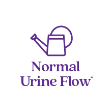 prostate