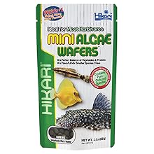 Hikari Tropical Mini Algae Wafers Fish Food