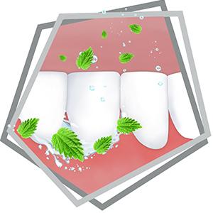 Freshens breath