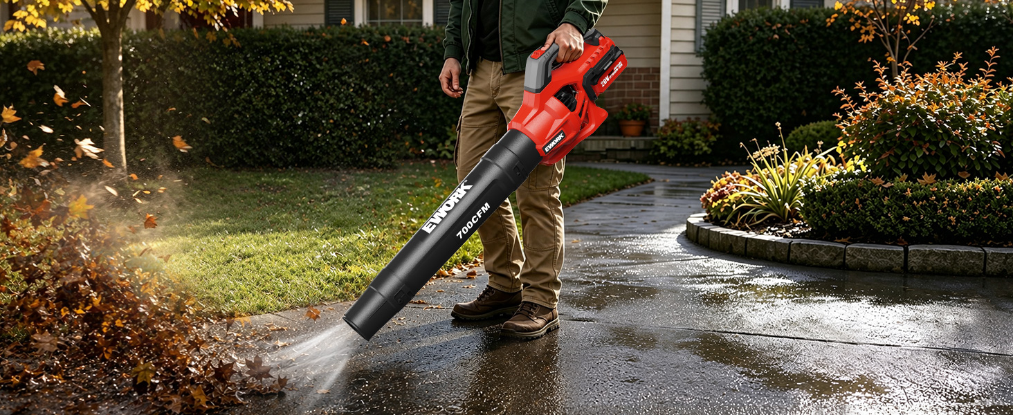 Leaf Blower Cordless