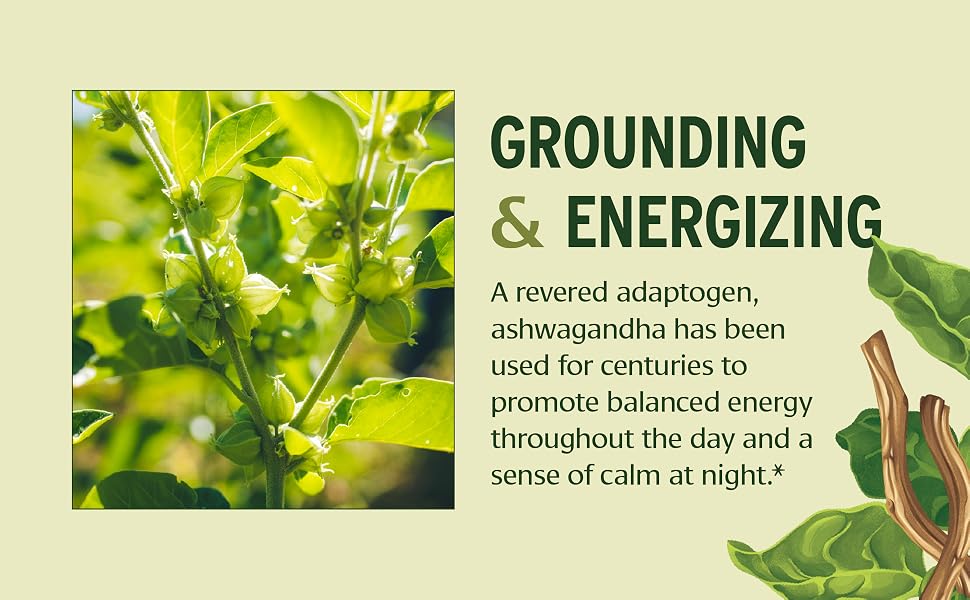 Grounding and Energizing