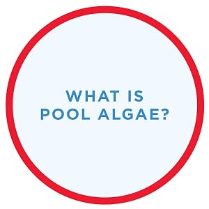 slime; white; mold; black; algaecide; algae; fungus; yellow; spots; products; water; portable