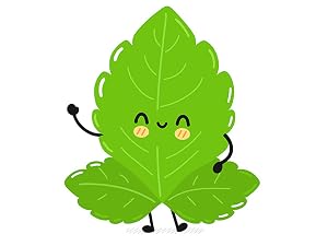 Enzo Stevia Leafs 0 GI