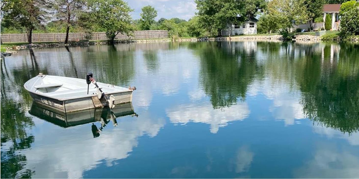 After pond weed treatment