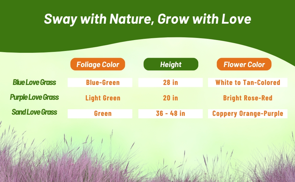 Love Grass Chart of Bloom Season, Flower Color, &amp; Height