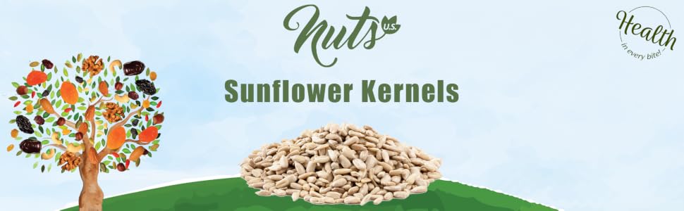 Sunflower Kernels Banner