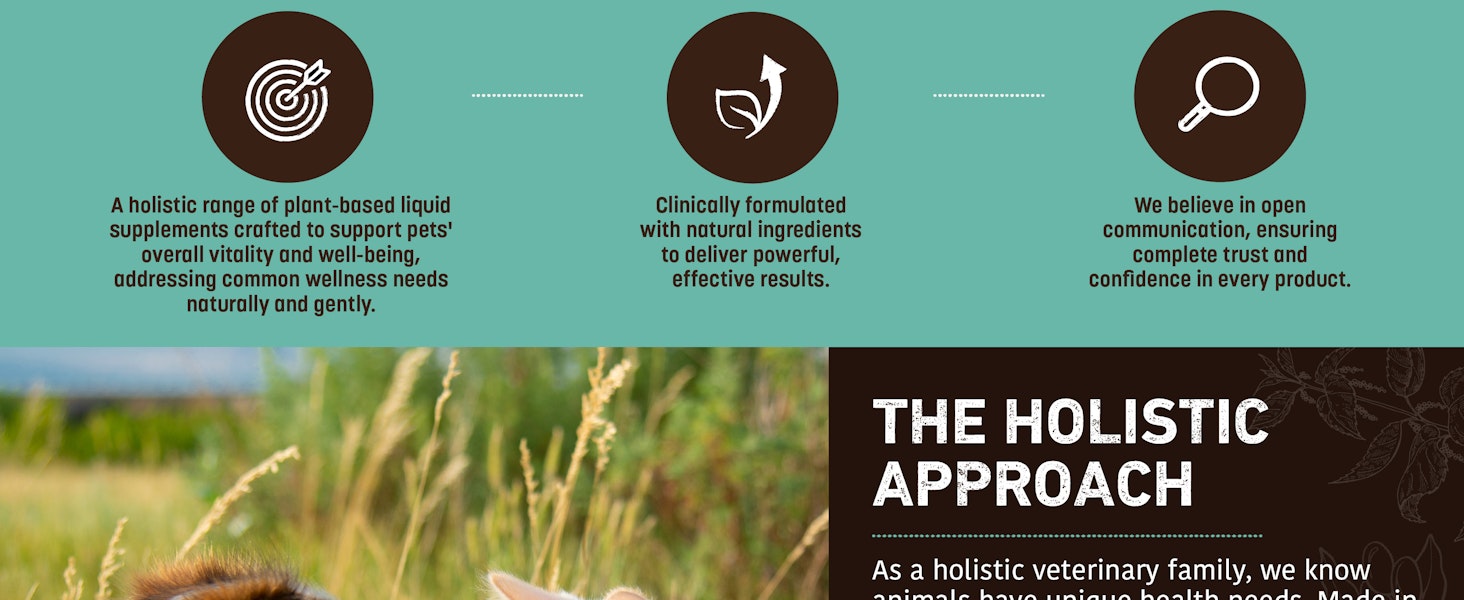 Apothecary