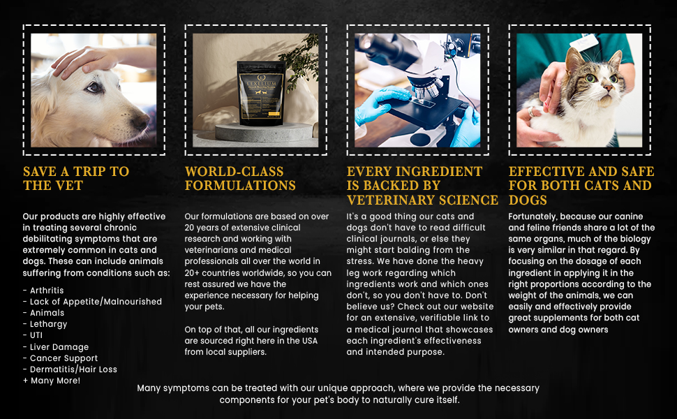 Heart Support Supplement dogs congestive heart failure heart healthfood for heart disease in cats