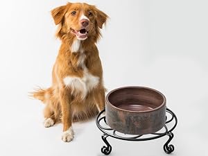 Pet bowl