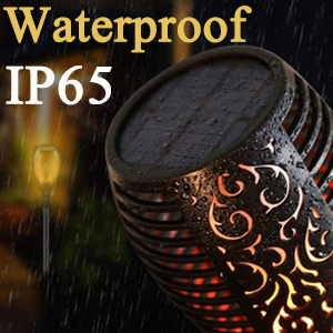 IP67 Waterproof Grade