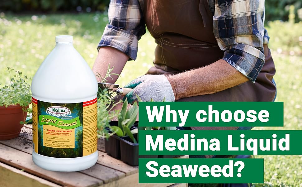 why choose medina liquid seaweed