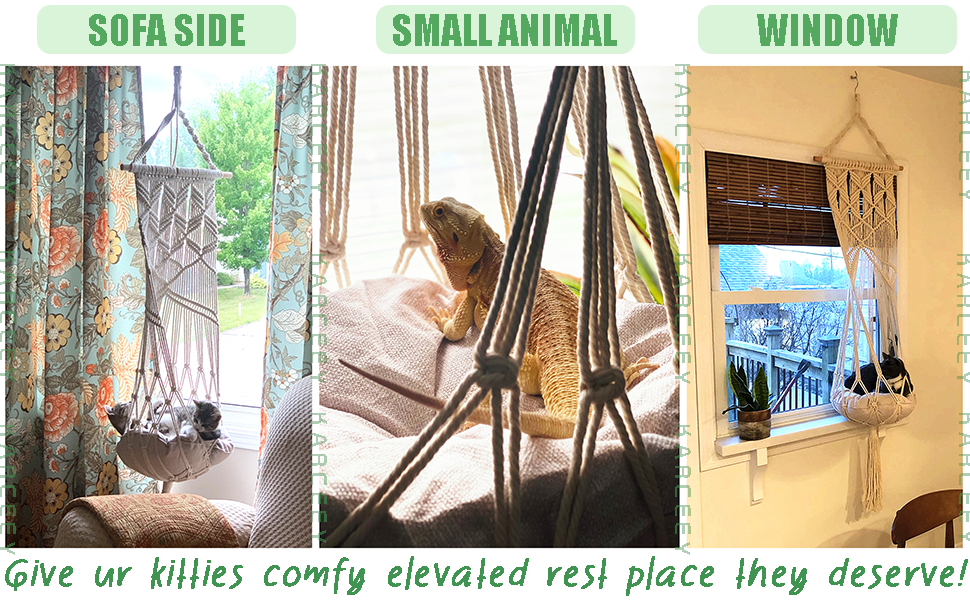 Pets relaxing in a macrame cat window perch, cozy sofa swing, and small animal hanging bed.