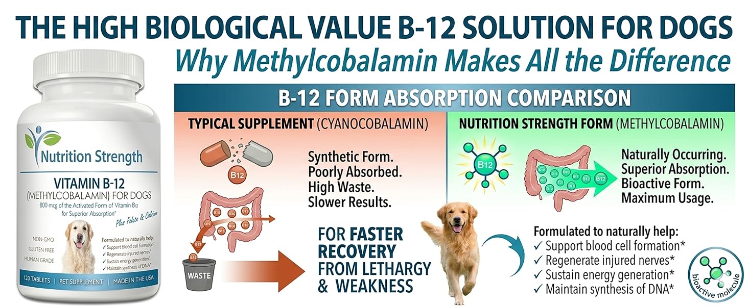Engineered to Provide the Highest Biological Value for Your Dog