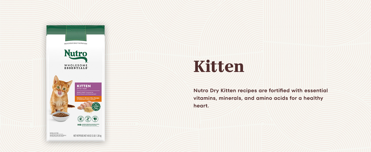 nutro dry cat