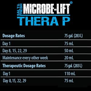 therap 9