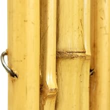 bamboo fence