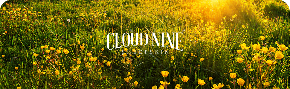 Cloud Nine Sheepskin banner