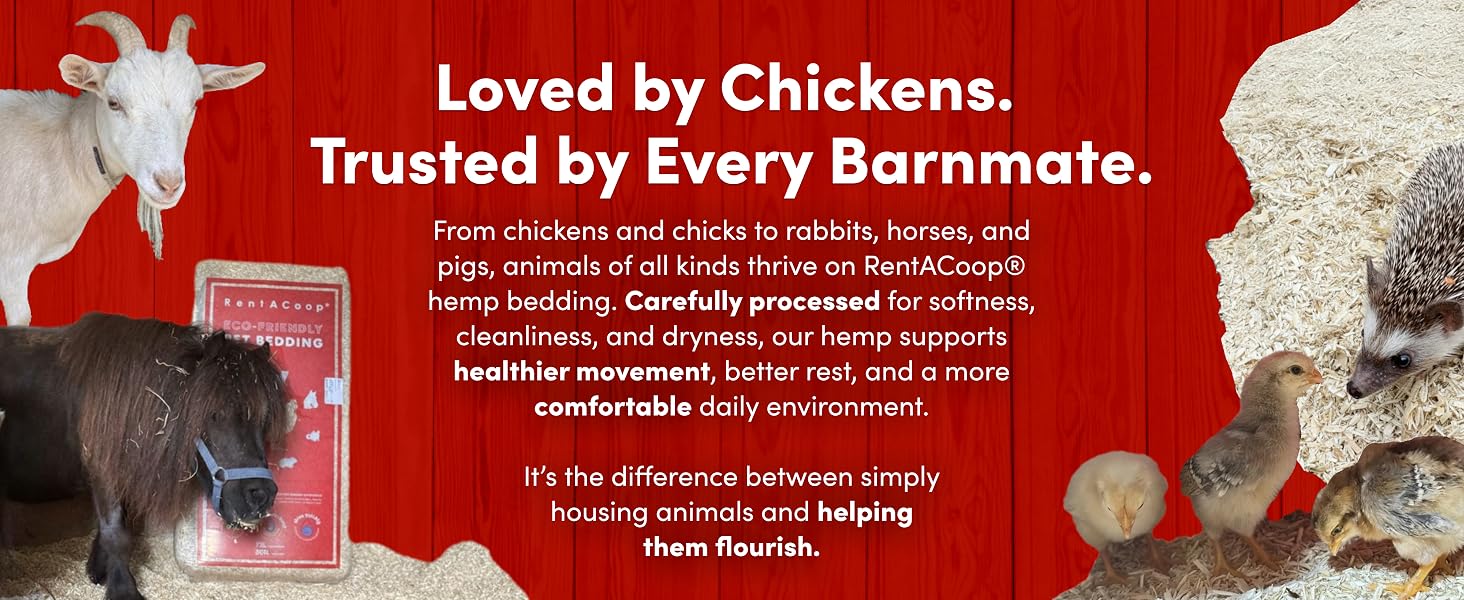 Loved by chickens. Trusted by every barnmate.