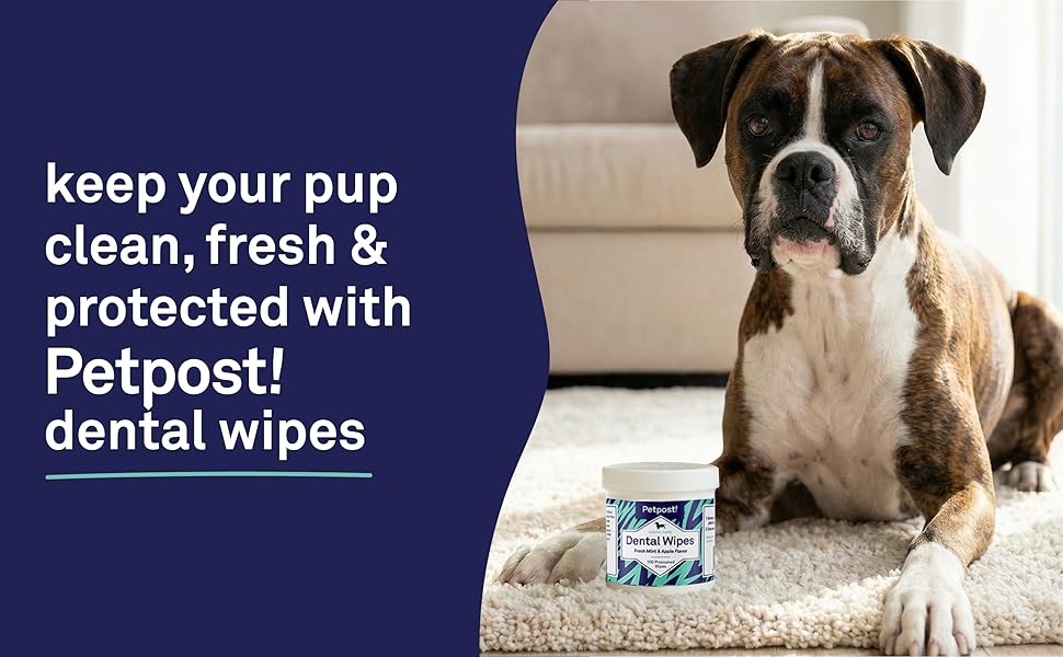 Dog dental wipes for fresh breath, clean teeth and gentle oral care for dogs