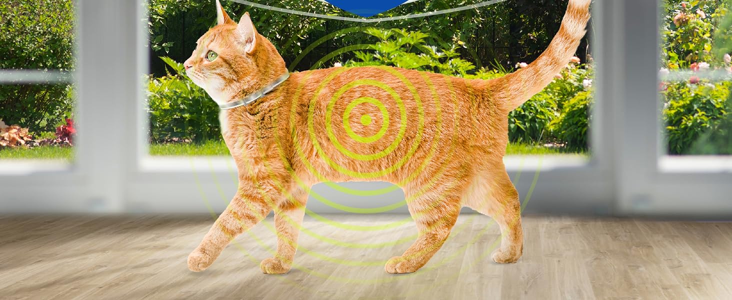 Pro Collar Target Area