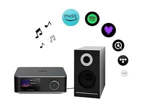 Configure your device and music account, and play Hi-Res music.
