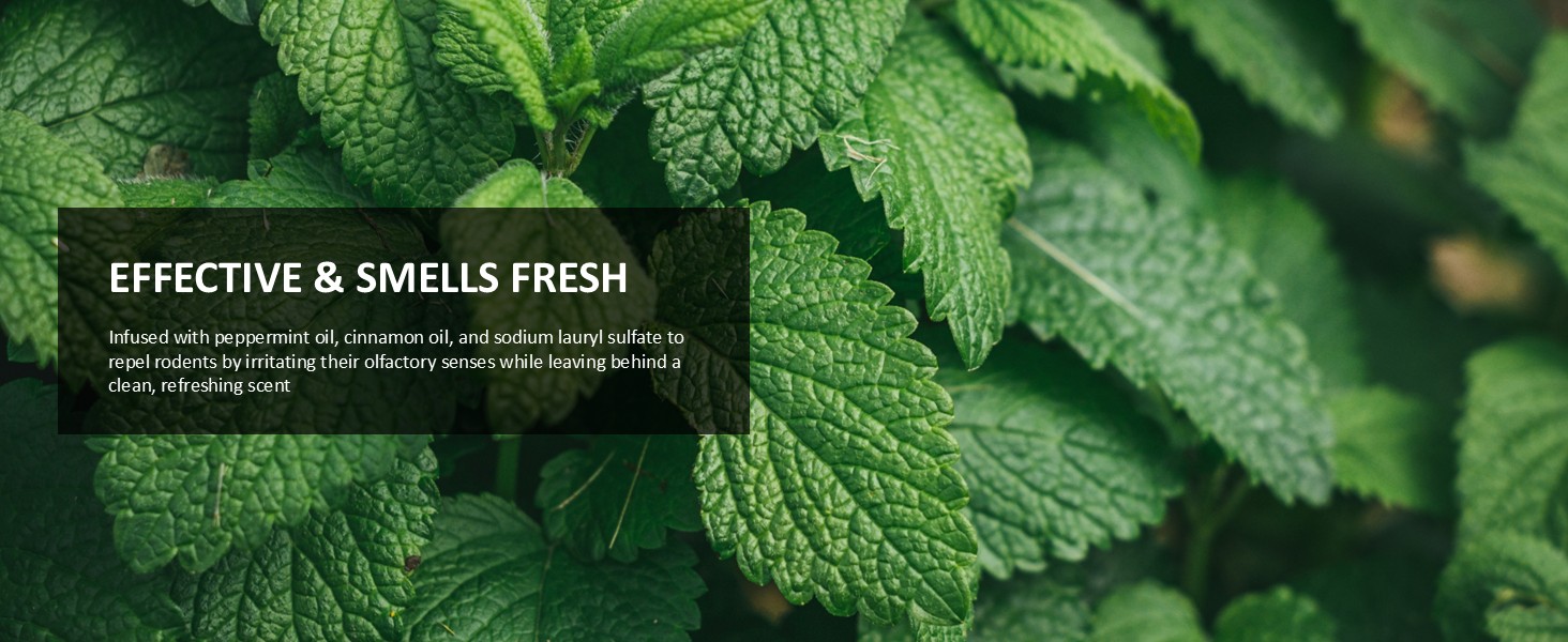 effective and smells fresh