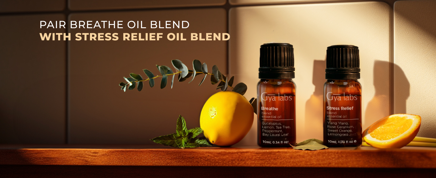 breathe essential oil blend breath essential oils essential oils breathe breathe blend essential oil