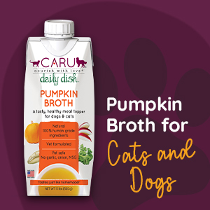 caru pumpkin broth