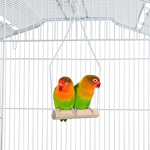 bird swing