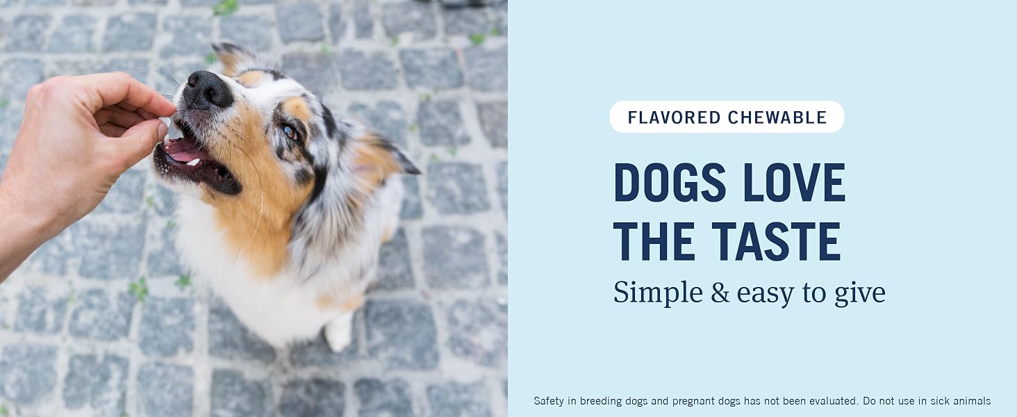 chewable tablet for dogs