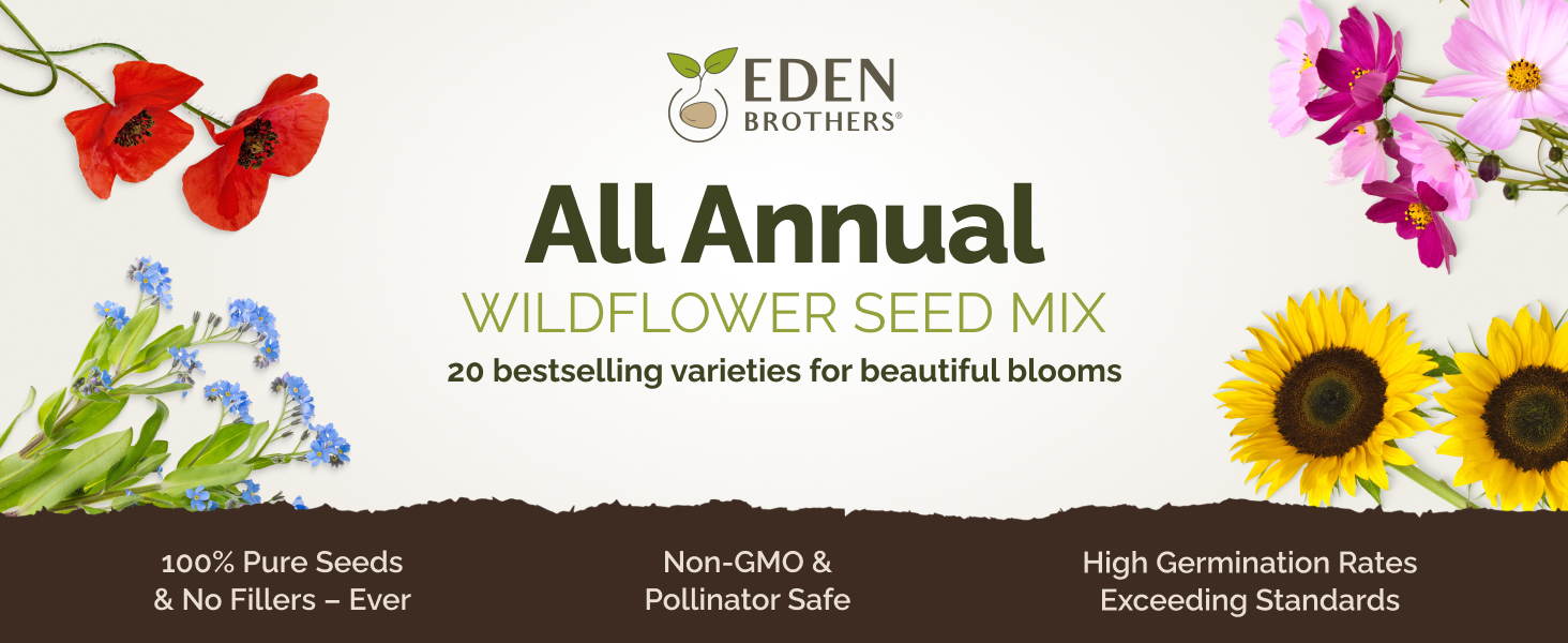 All Annual Wildflower Seed Mix, Mixed Flower Seeds for Planting