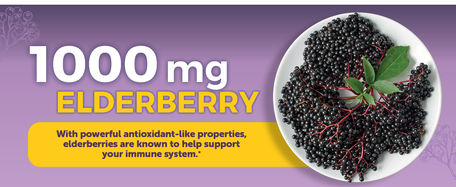 sambucol black elderberry black elderberry syrup elderberry extract sambucus organic elderberry