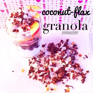 Carrington Farms Coconut Flax Granola