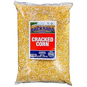 Cracked corn for wildlife