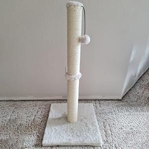 cat scratchers