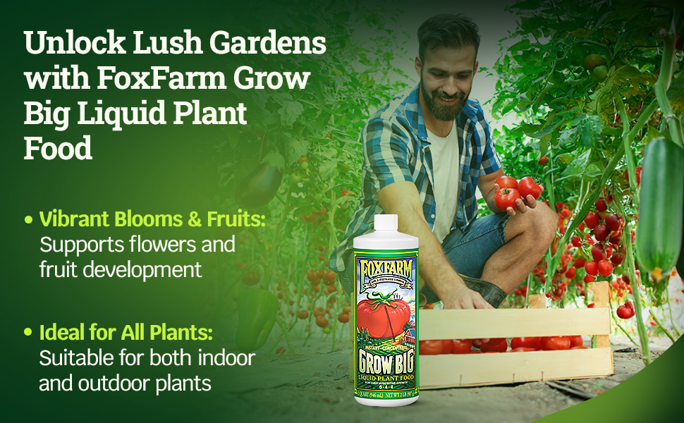 Grow Big Liquid Plant Food