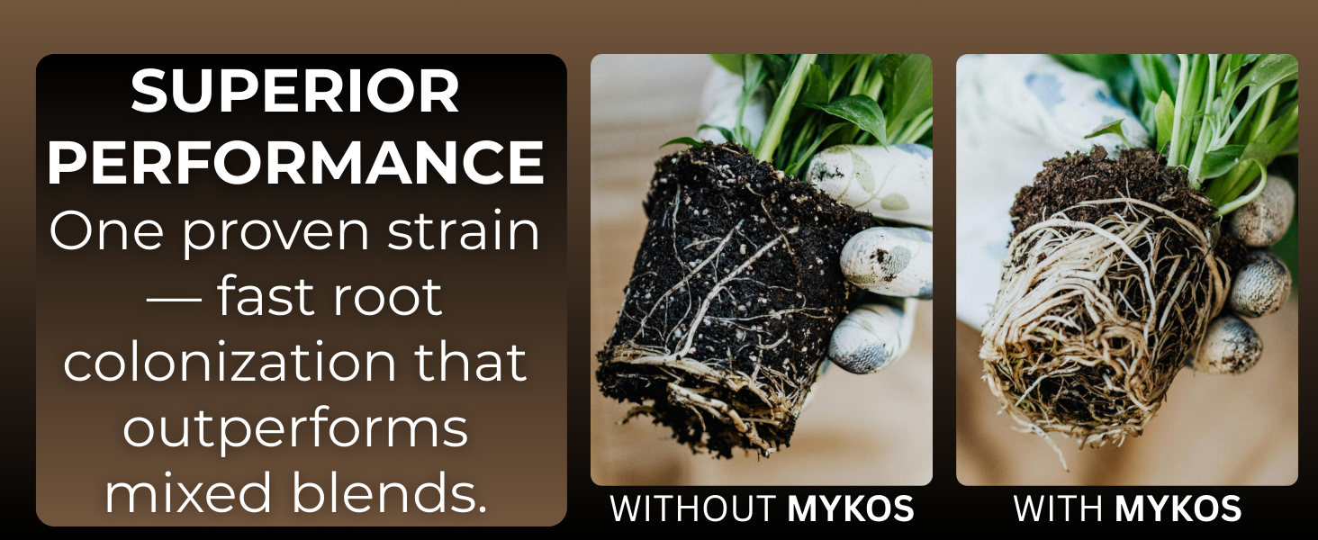 xtreme gardening mycorrhizae mycorrhizal fungi