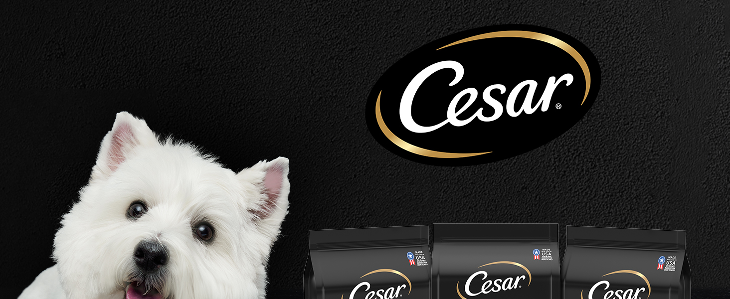 Cesar Dry Dog Food
