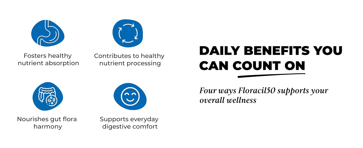 high quality prebiotics probiotics capsules for adults improve intestinal flora digestion comfort