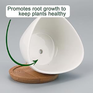 pots