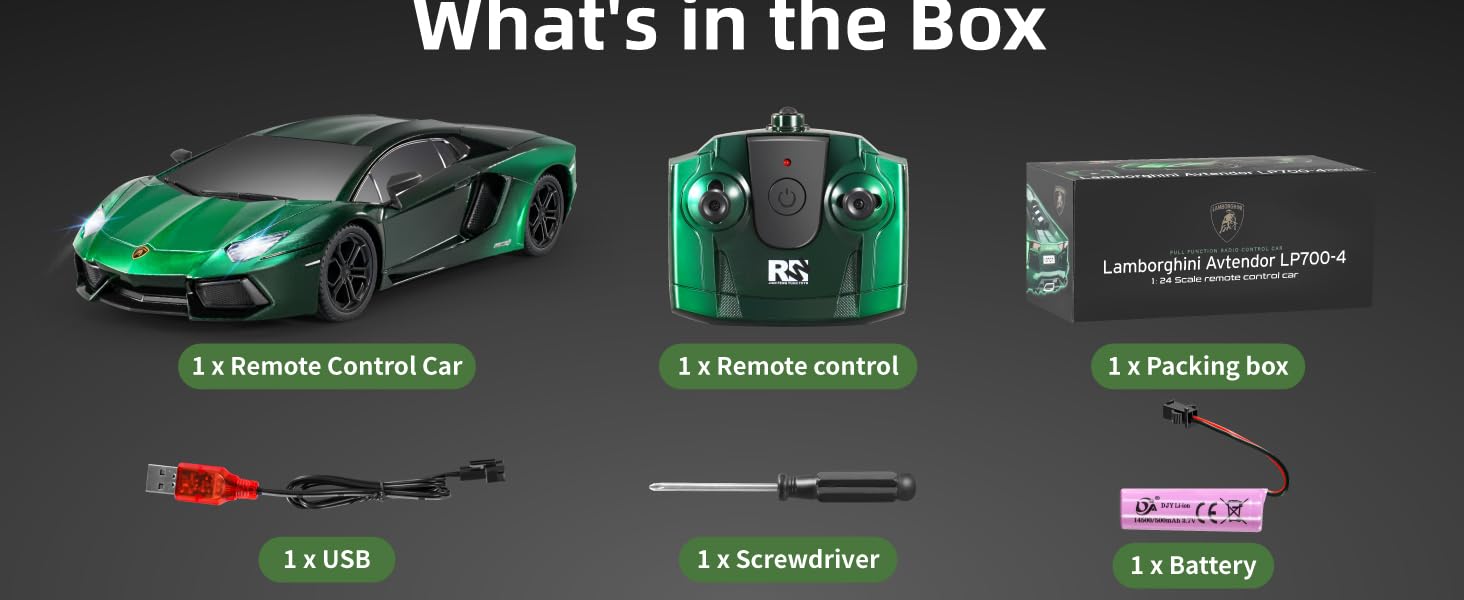 remote control car gift