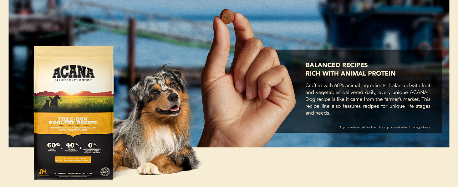 Balanced Recipes Rich With Animal Protein