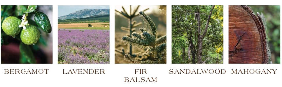 outlaw fragrance notes tru western