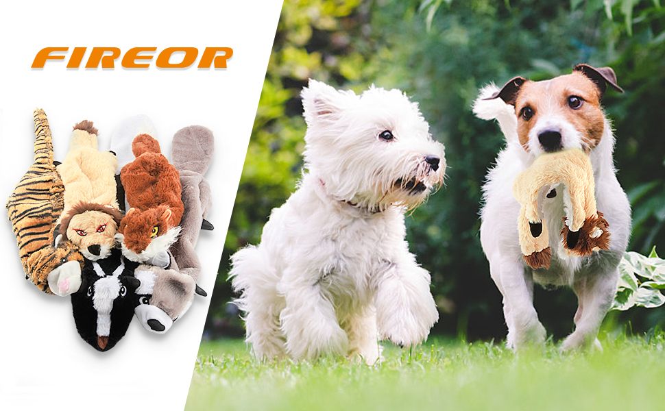 Dog Squeaky Toys