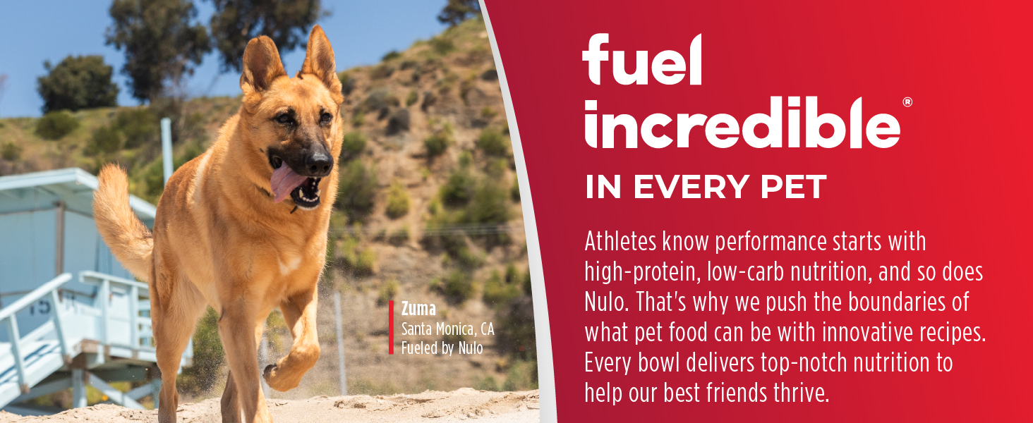 Image of dog on beach with text reading fuel incredible in every pet.