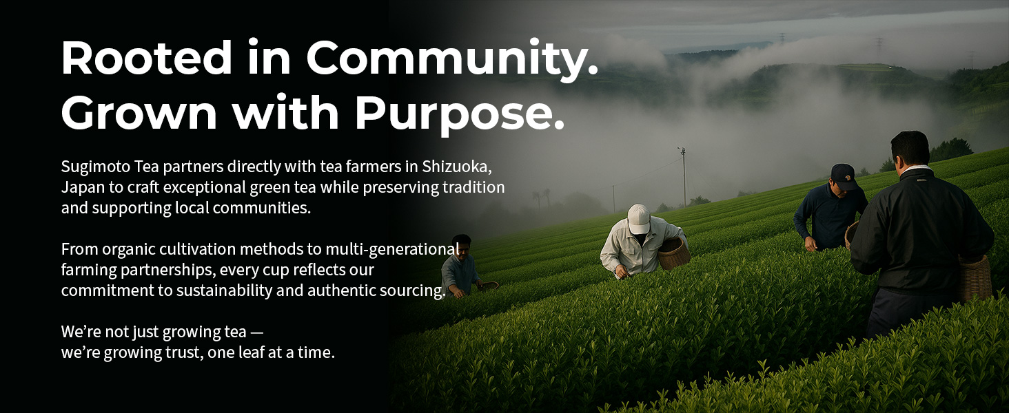 sugimoto community