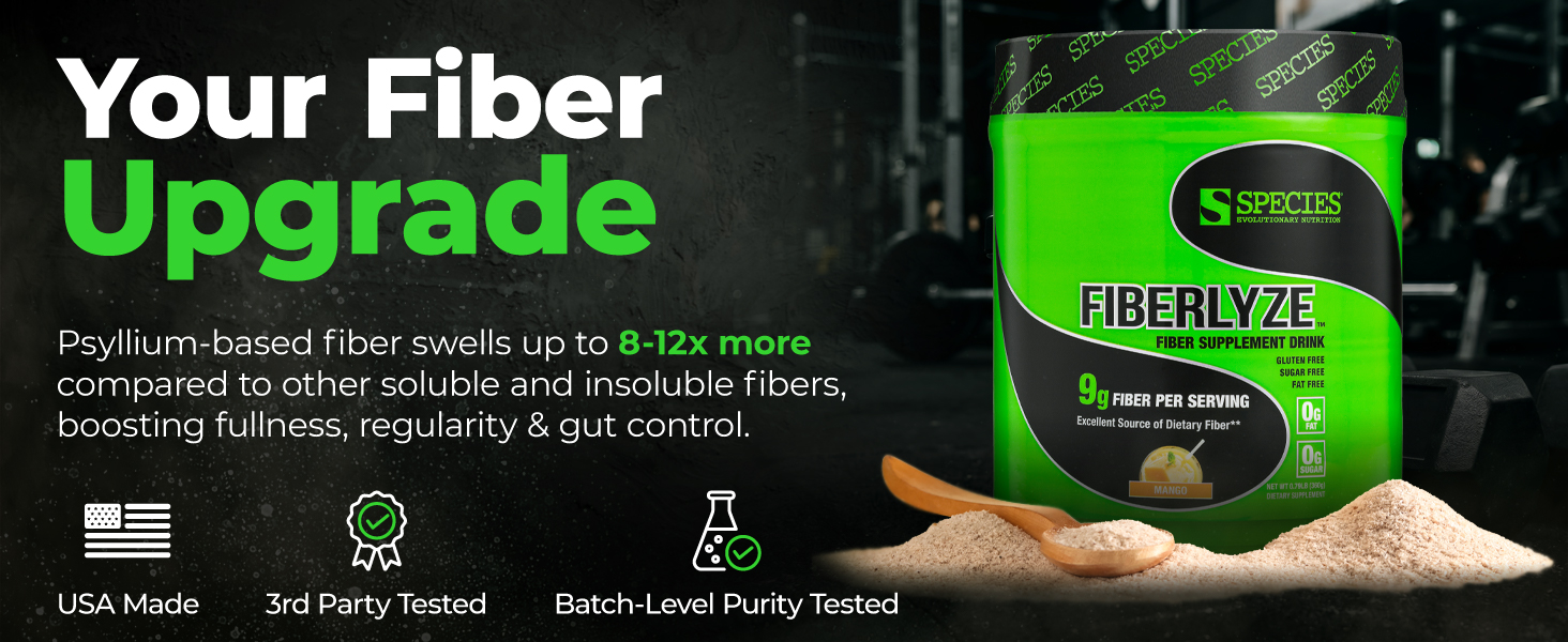 Your Fiber Upgrade