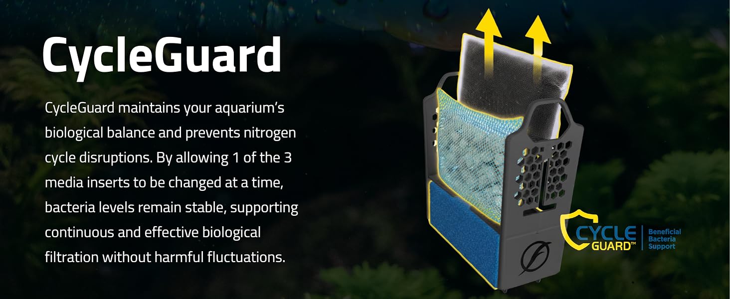 Cycle Guard