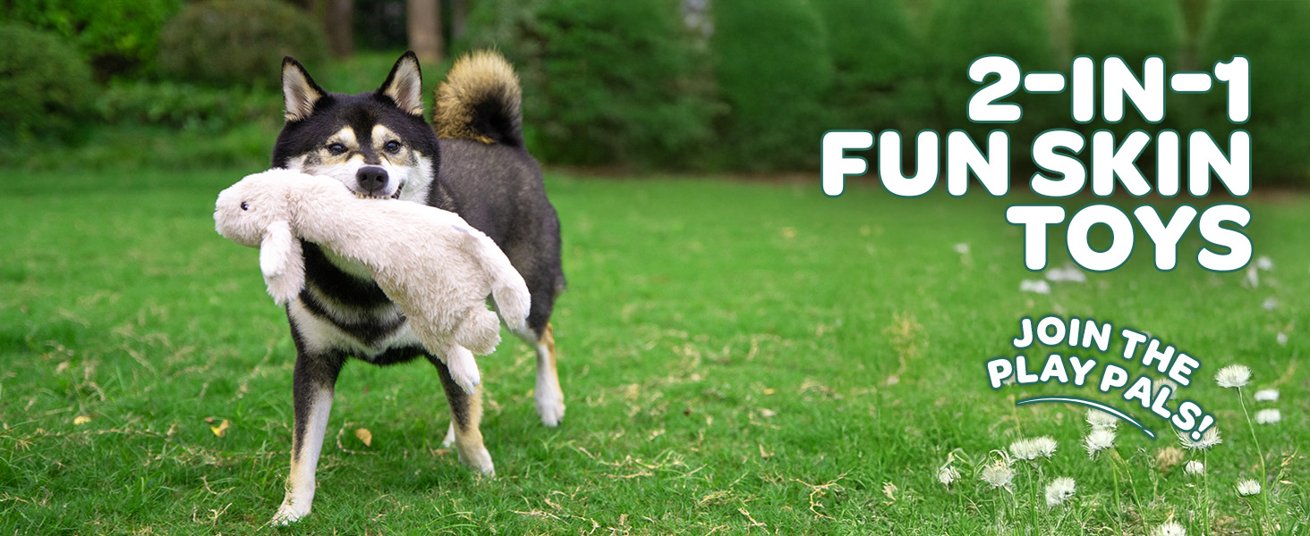 dog chewing on funskin toy